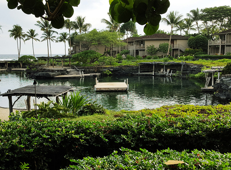 ../Images/HAN,WEN-HSIEN.j.Four Seasons Resort Hualalai (48).jpg